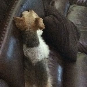 Meet your Posher, Robyn